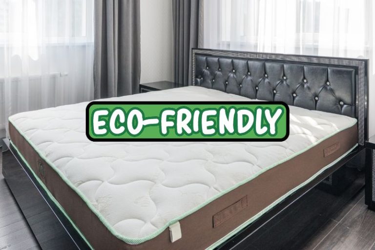 Is Memory Foam Eco-friendly? (Answer Might Surprise You!)