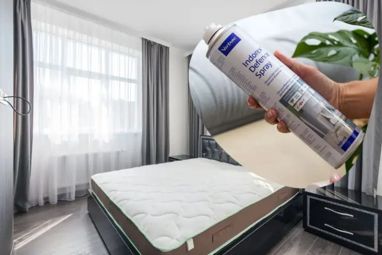 Can You Use Indorex on Mattress? (EXPOSED)