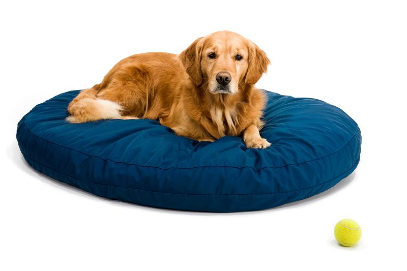 Can You Use a Crib Mattress for a Dog Bed? (We Tried it Out