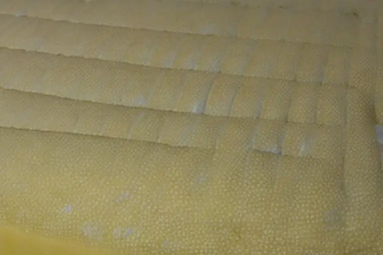 Why Does Mattress Topper Turn Yellow? (THE TRUTH)