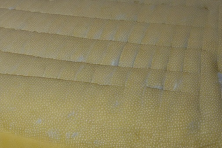 Why Does Mattress Topper Turn Yellow? (THE TRUTH) » Mattress Vela