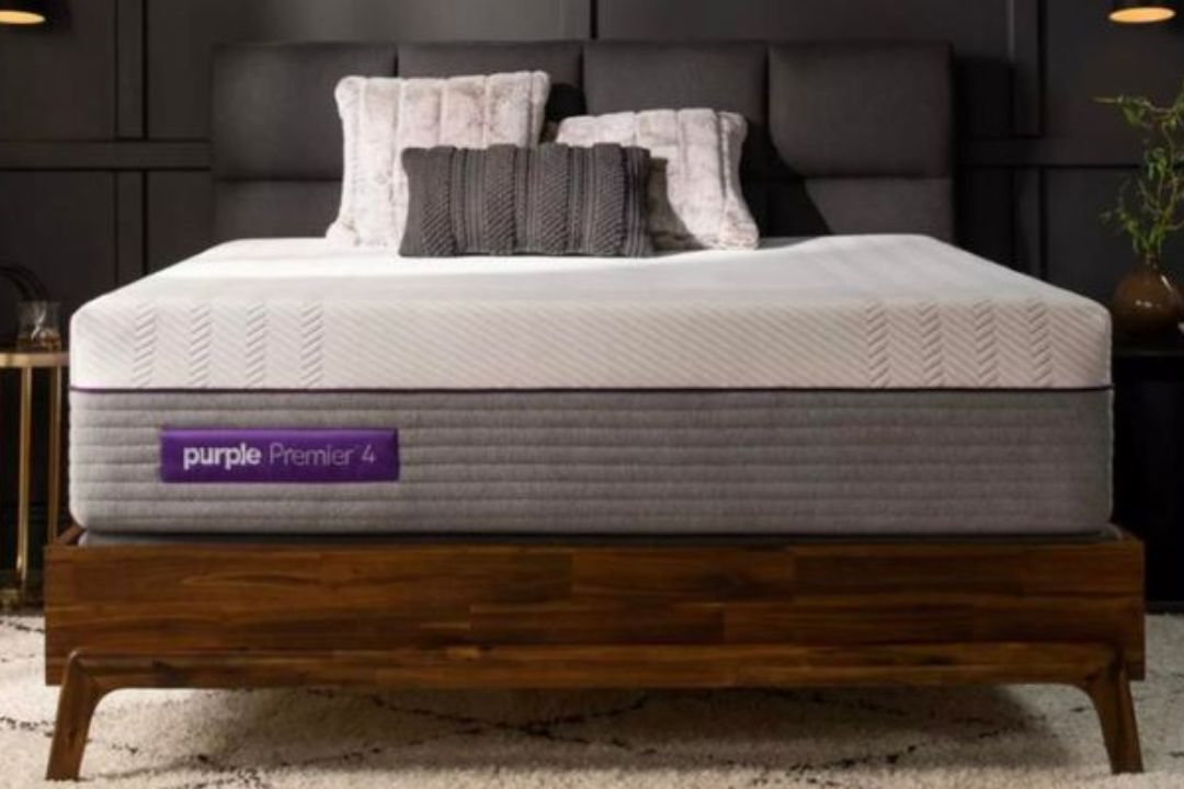 Preventing Bed Bugs (The Efficacy of Mattress Covers!) » Mattress Vela