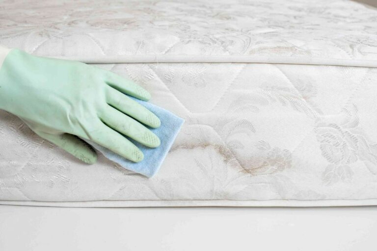 How to Remove Mold From Air Mattress? (A Confident Answer!)
