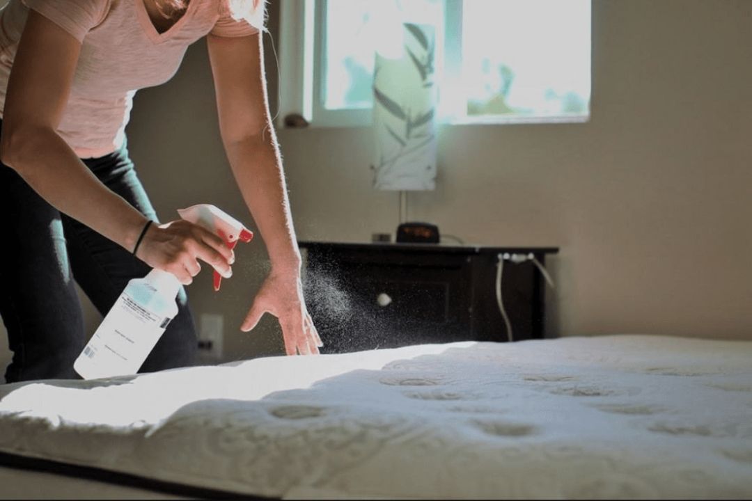 Mattress Smell Like Rotten Eggs (How to Get Rid!) » Mattress Vela