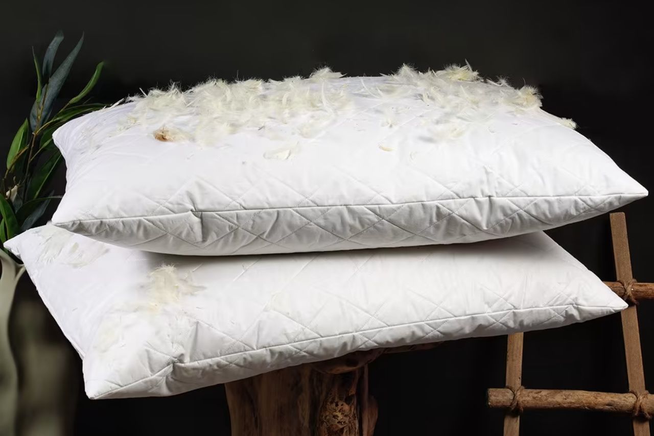 Can a Feather Pillow Be Washed? (We Tried it Out!) » Mattress Vela